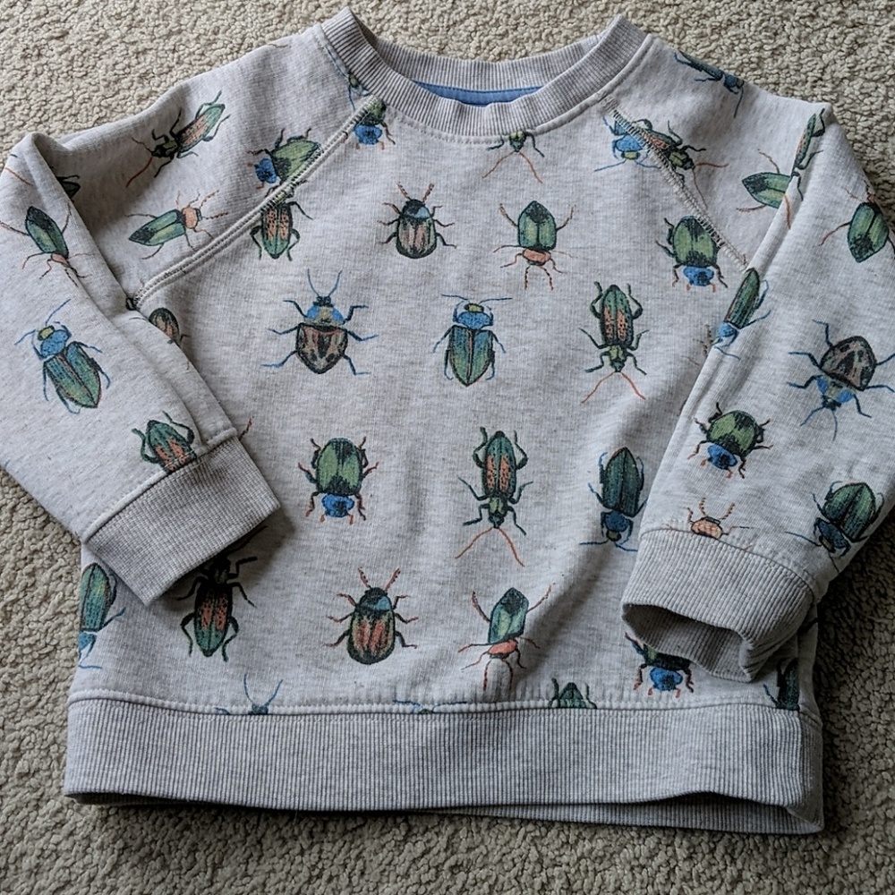 CCO SaleGymboree Beetle print sweatshirt